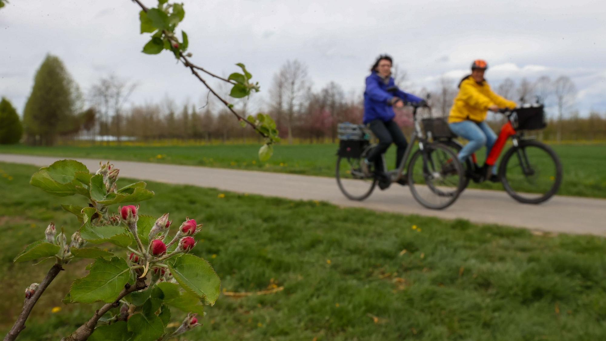 Zwei Radlerinnen bei ihrer Tour durch die Obstplantagen.