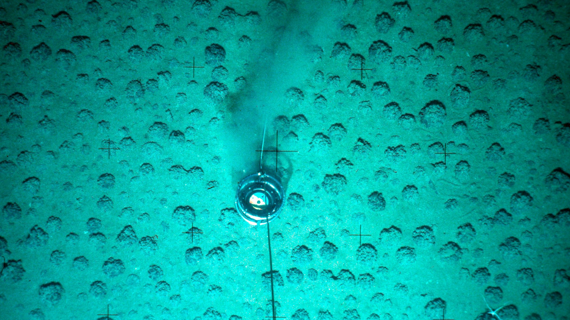 HANDOUT - Manganknollen werden am Meeresboden in einer Tiefe von mehreren tausend Metern im Pazifik untersucht.