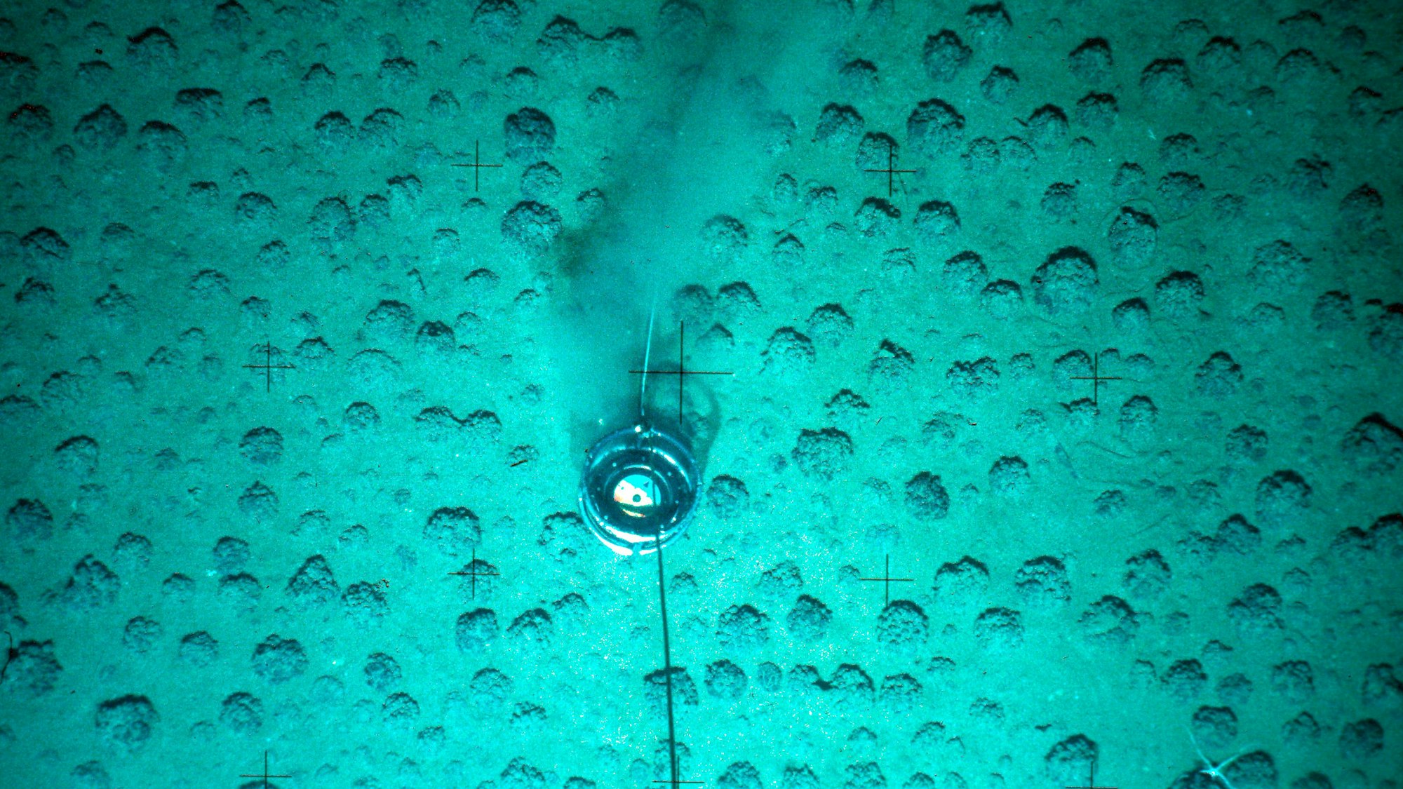 HANDOUT - Manganknollen werden am Meeresboden in einer Tiefe von mehreren tausend Metern im Pazifik untersucht.