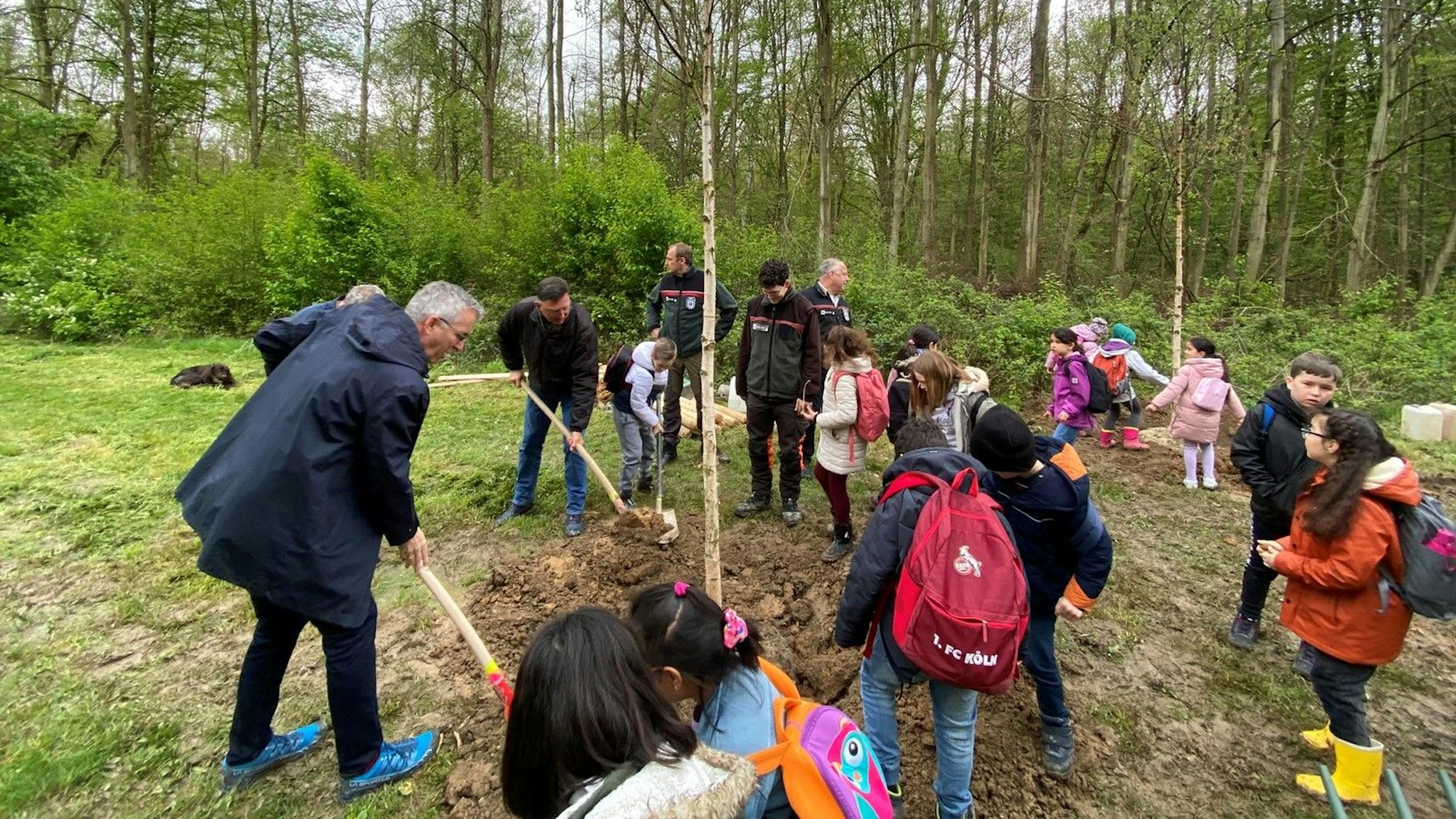 Grundschulkinder und Erwachsene beim Einpflanzen mehrerer Bäume