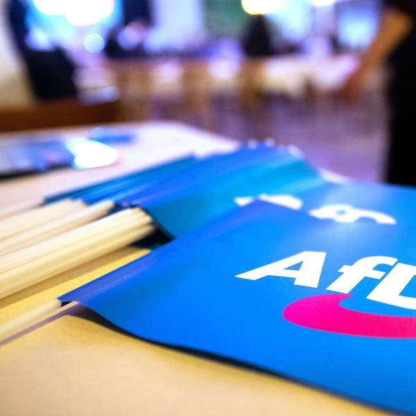 Die Junge Alternative, die Jugendorganisation der AfD, wird vom Verfassungsschutz beobachtet.