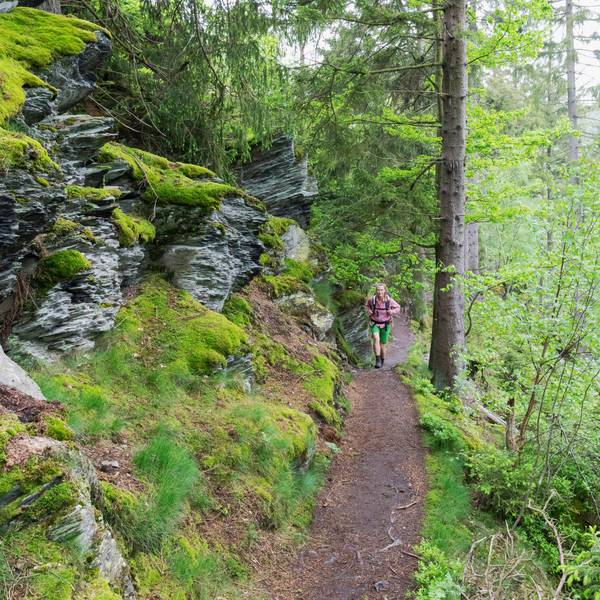 Wandern erfrischt Körper und Geist