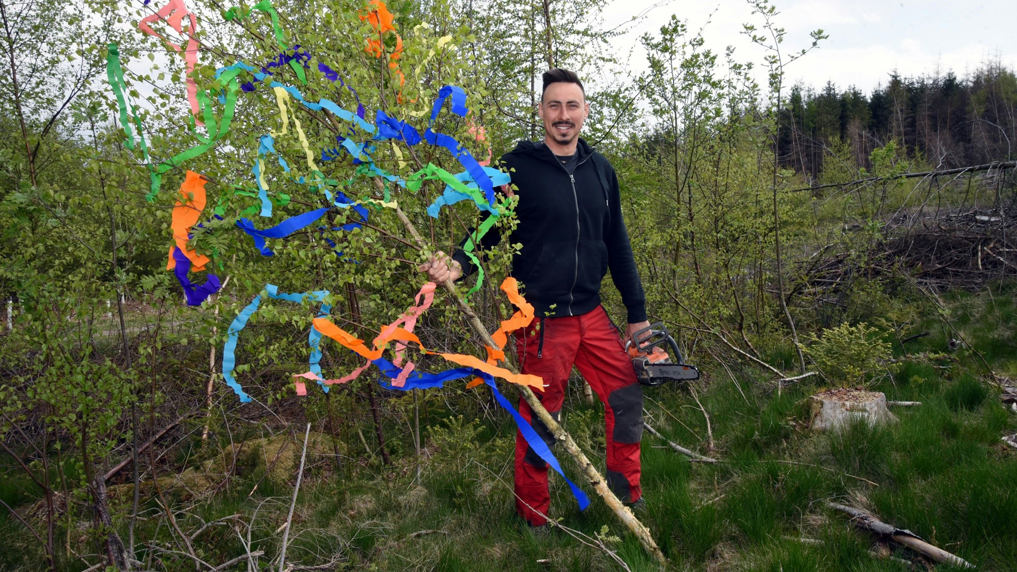 Ein junger Mann steht im Wald und hält einen mit bunten Bändern geschmückten Maibaum in der Hand. In der anderen Hand hält er eine Motorsäge.