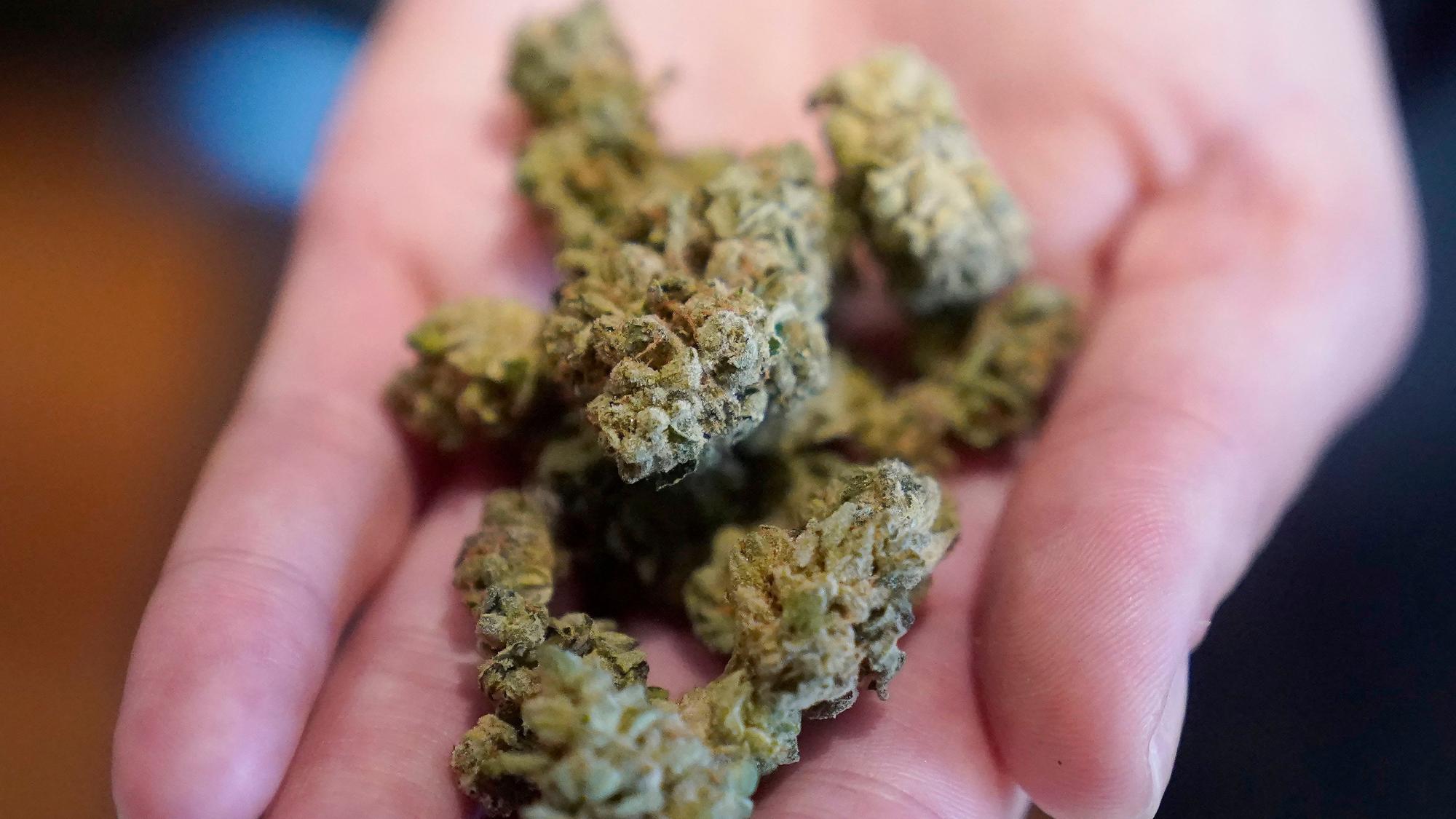 335 Gramm Cannabis wurden in dem Kölner Café gefunden. (Symbolbild)