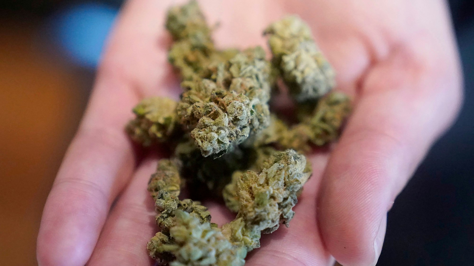 335 Gramm Cannabis wurden in dem Kölner Café gefunden. (Symbolbild)