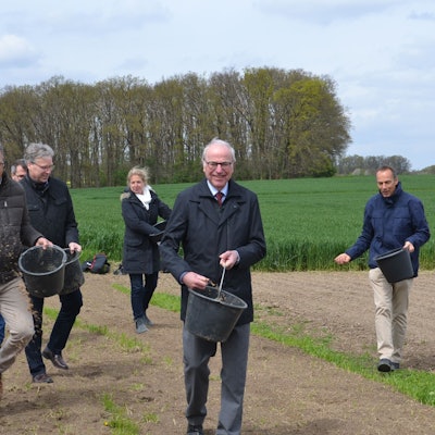 Blühflächen für neue Insekten-Lebensräume säten die Projektpartner aus.