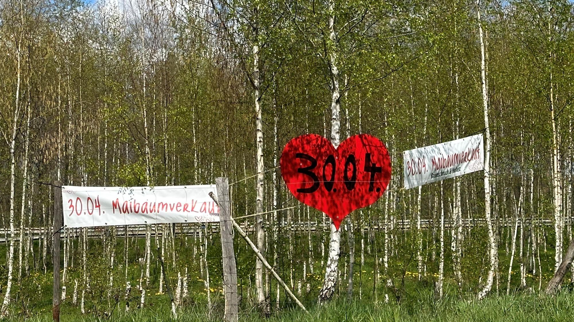 Blick auf einen abgegrenzten Bereich mit Maibäumen. (Symbolbild)