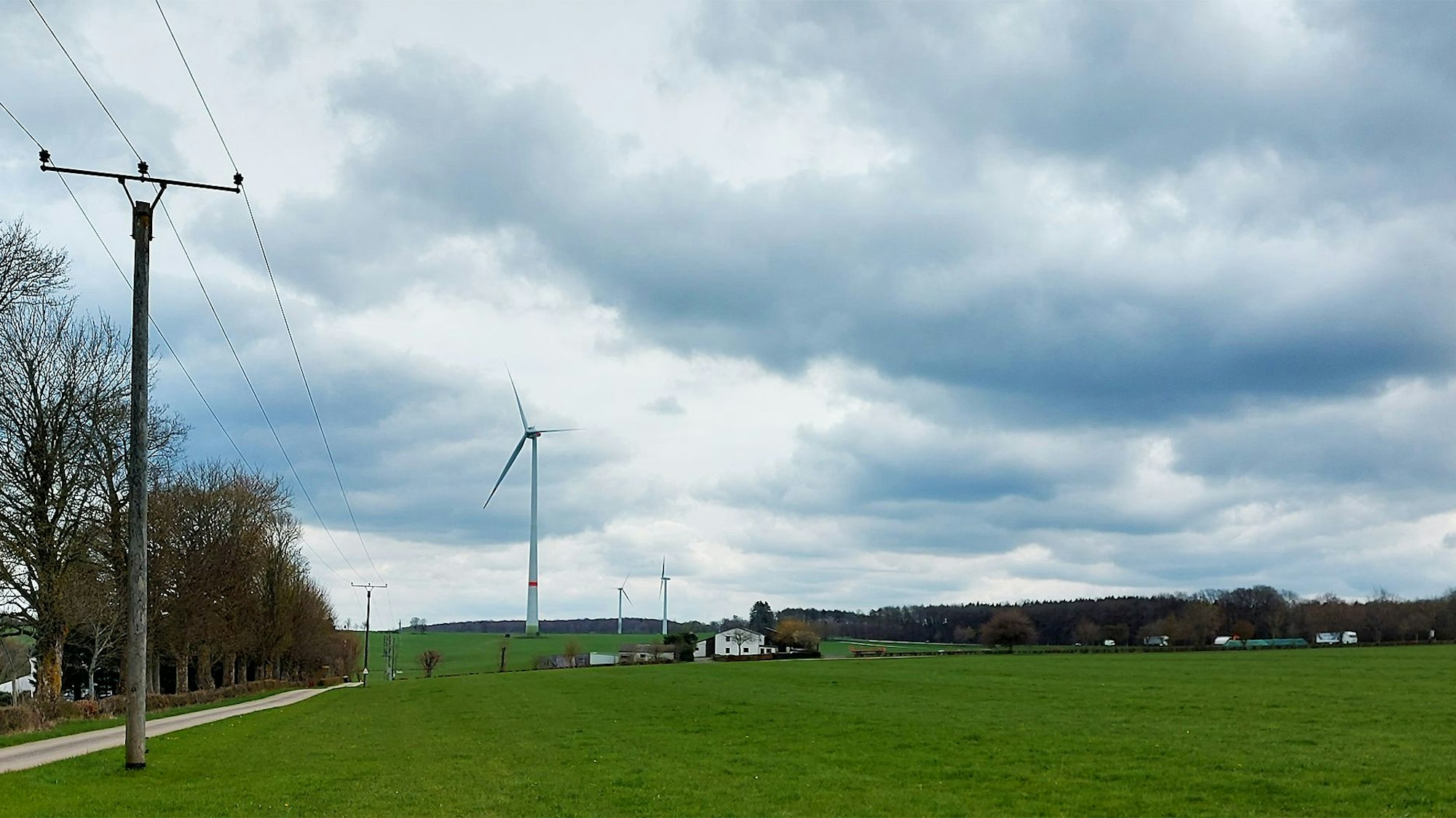 Auf einer Wiese bei Schmidtheim soll ein Photovoltaikfeld entstehen.