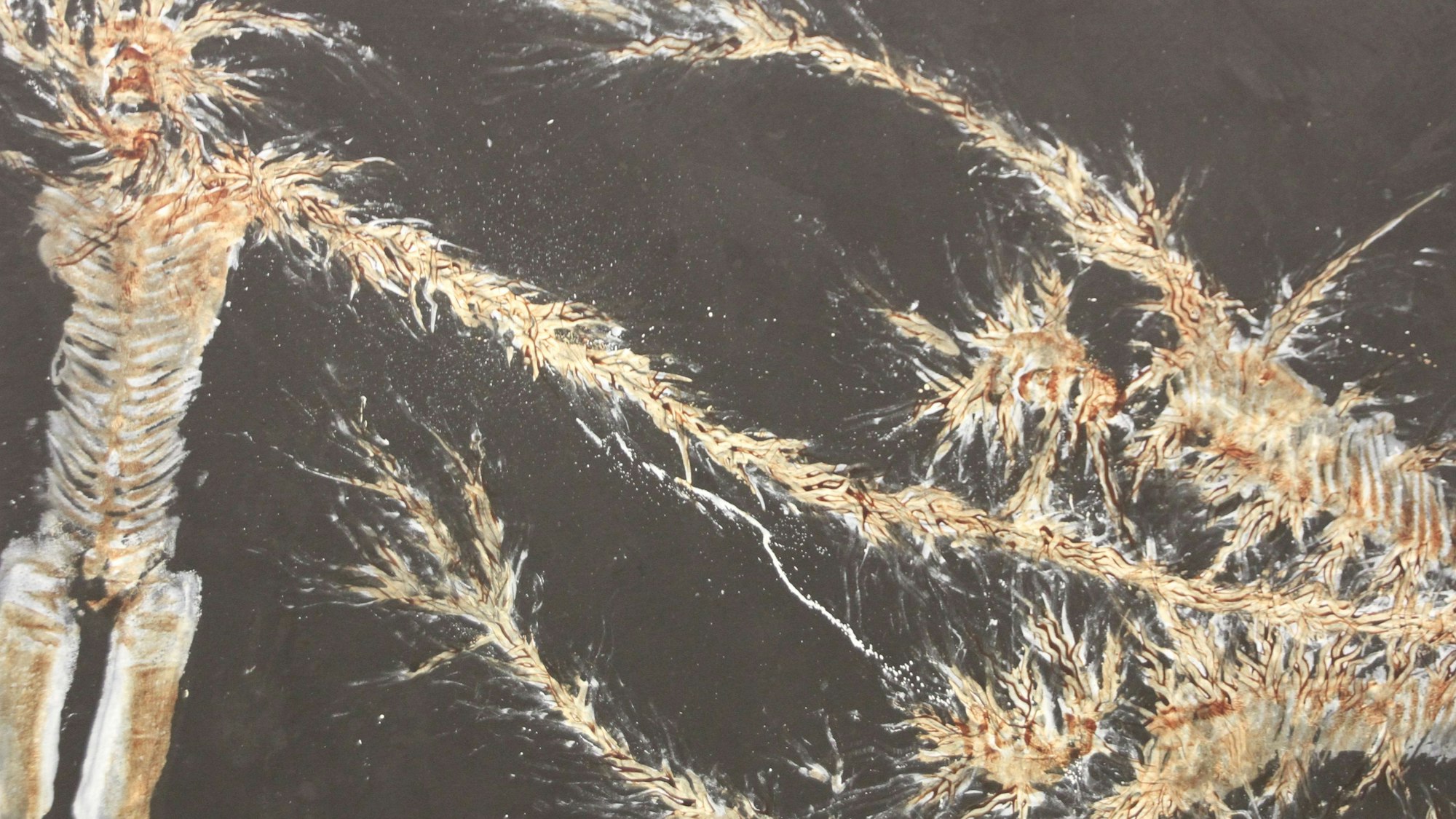 Ausstellung Lust for Life mit Arbeiten von Peter Gilles im Pumpwerk Siegburg.