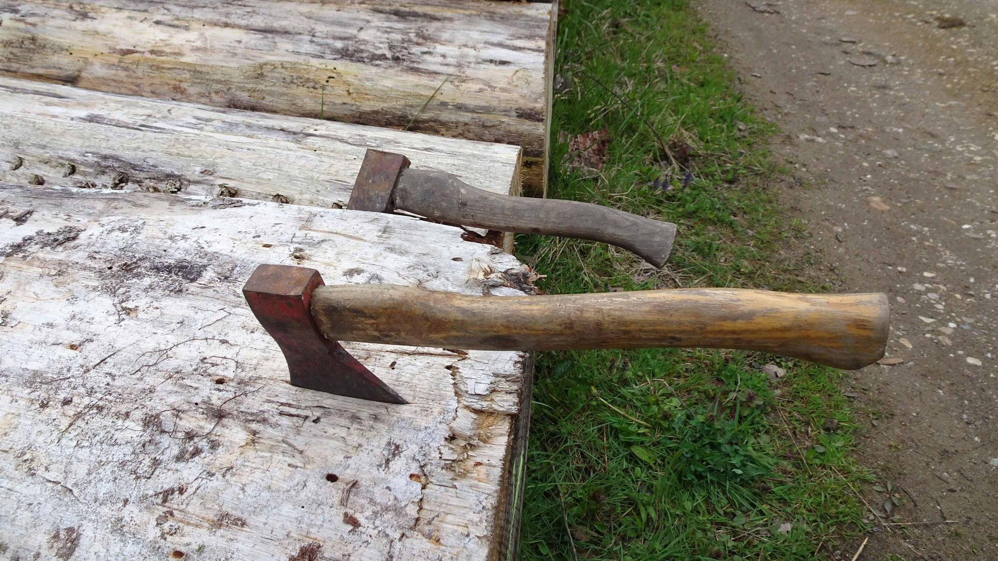 Äxte, die sich die Flerzheimer Junggesellen selbst mitgebracht hatten, stecken in Birkenstämmen.