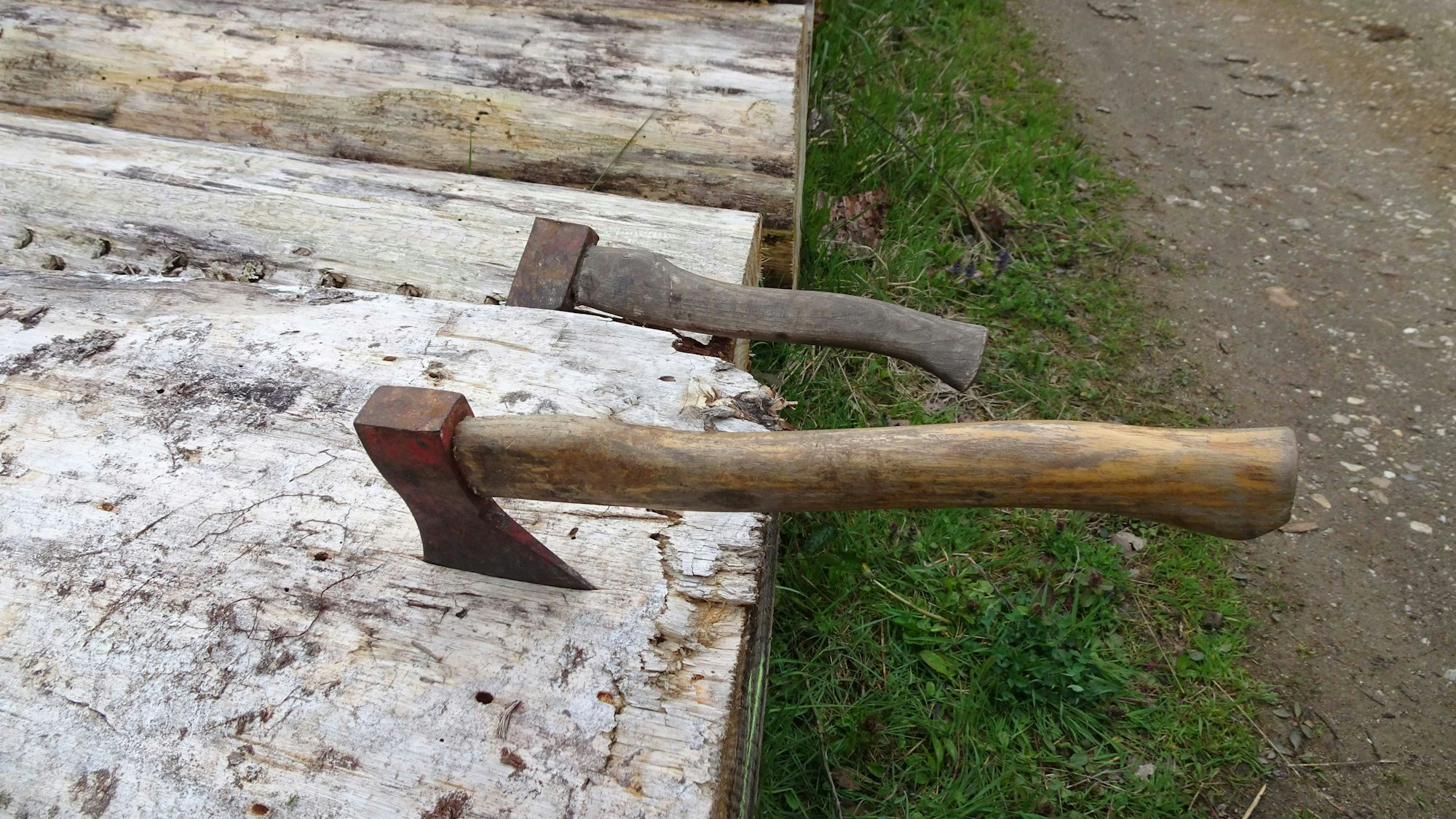 Äxte, die sich die Flerzheimer Junggesellen selbst mitgebracht hatten, stecken in Birkenstämmen.