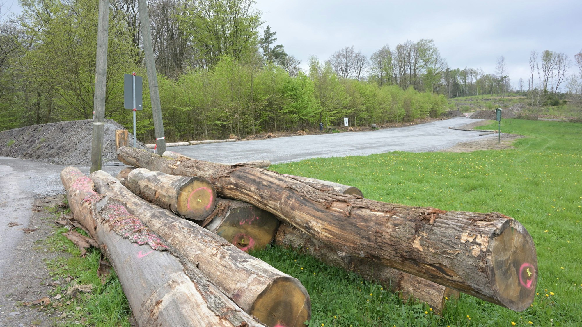 Es sind mehrere Holzstämme zu sehen.