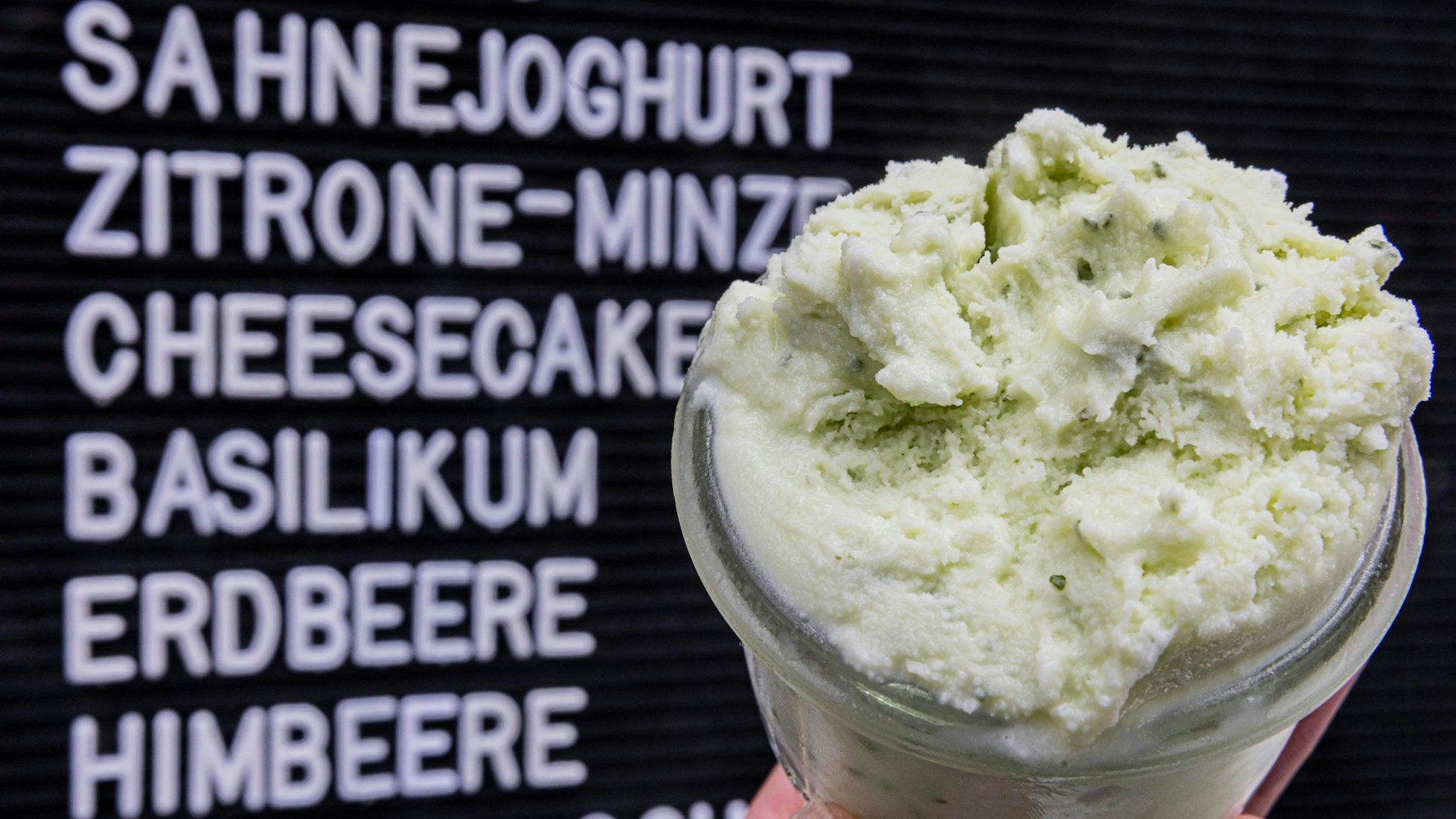 GRÜNES BASILIKUMEIS IN RHIENBACH Foto: Meike Böschemeyer