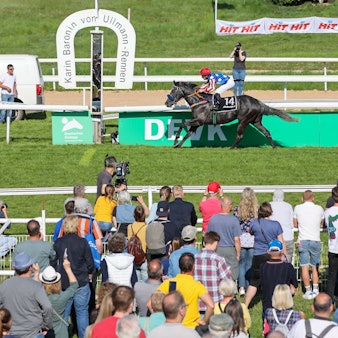 Der Benefizrenntag in Weidenpesch 2022