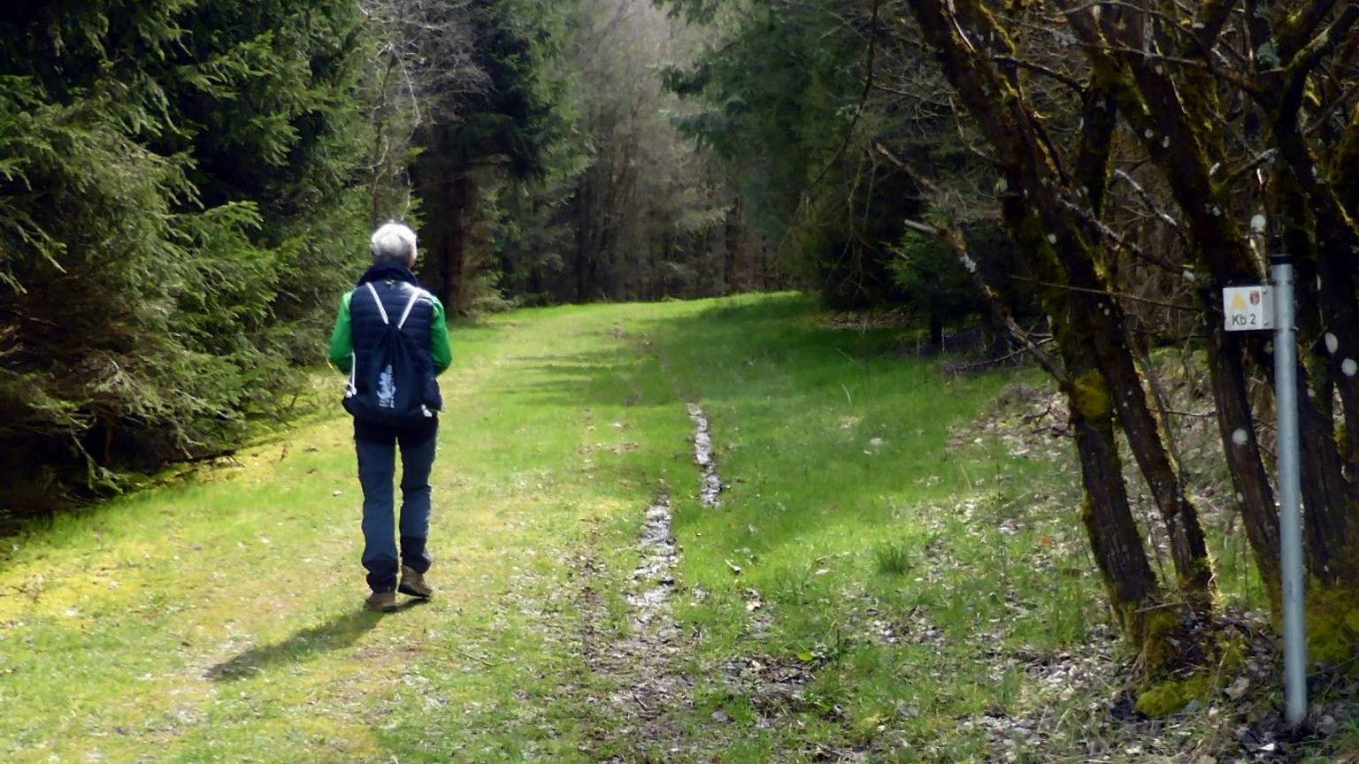 Ein Mensch wandert durch einen Wald.