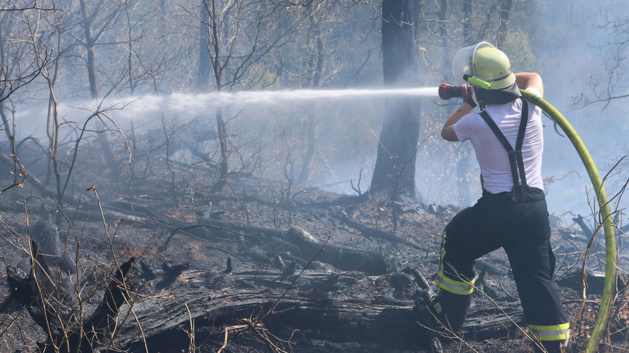 Ein Feuerwehrmann mit Löschschlauch im Waldgelände.