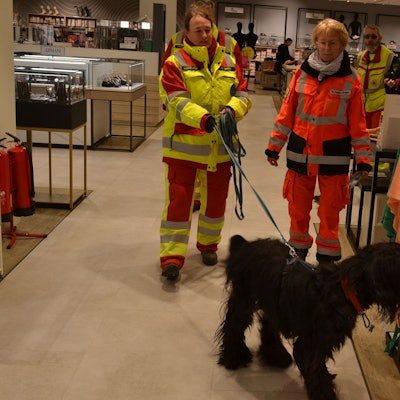 Zwei Frauen in Einsatzkleidung und ein Rettungshund trainieren in einem Kaufhaus die Suche nach Vermissten.