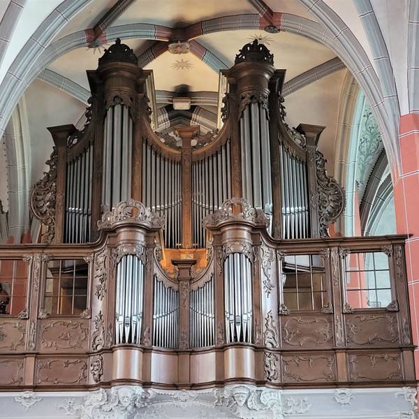 Blick auf die König-Orgel in der Schlosskirche.
