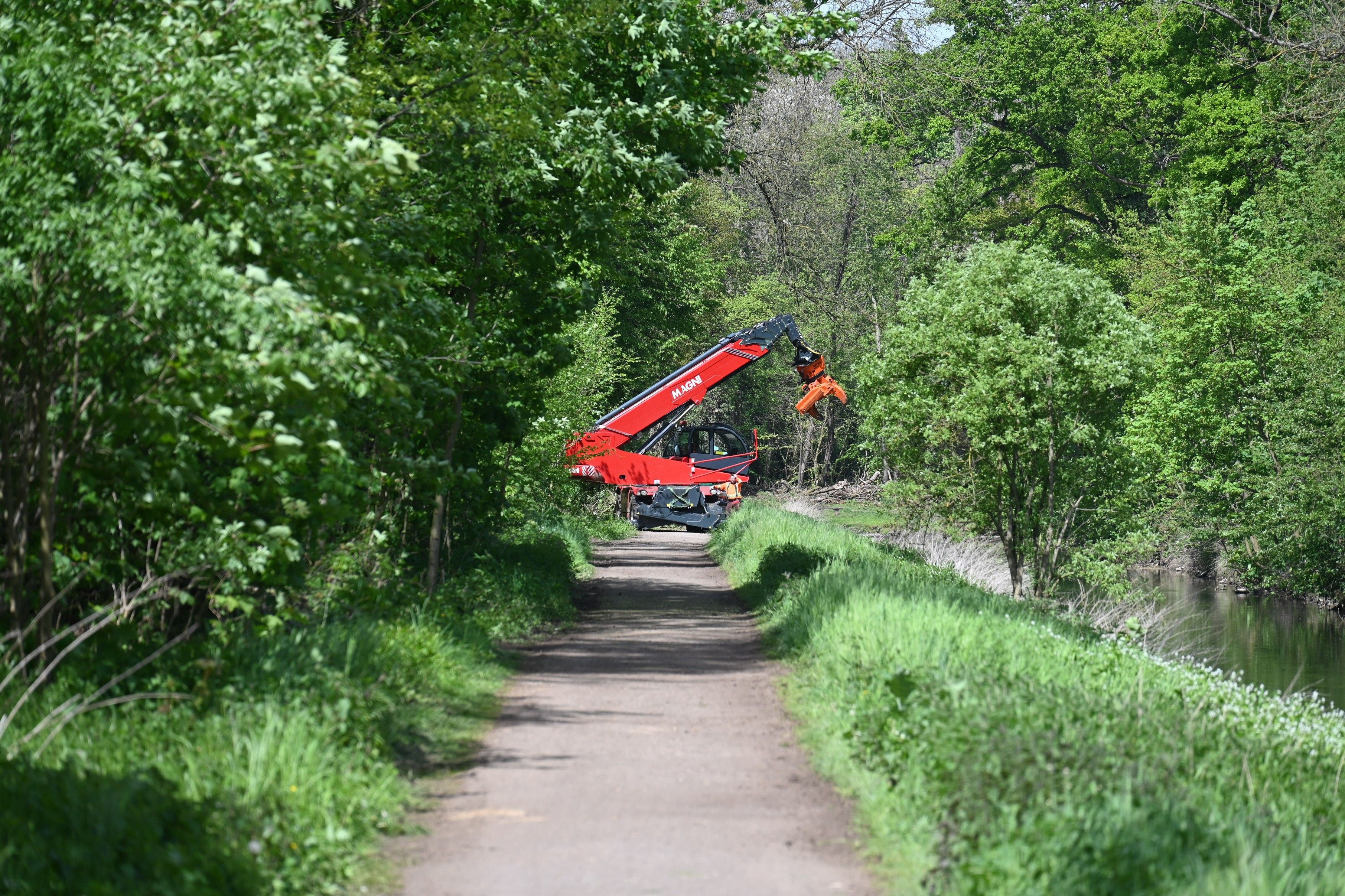 Das Foto zeigt eine schwere Baumaschine, die im Waldgebiet Parrig gefällte Baumstämme anhebt.
