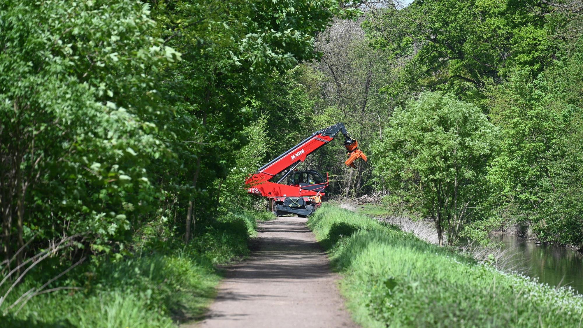 Das Foto zeigt eine schwere Baumaschine, die im Waldgebiet Parrig gefällte Baumstämme anhebt.