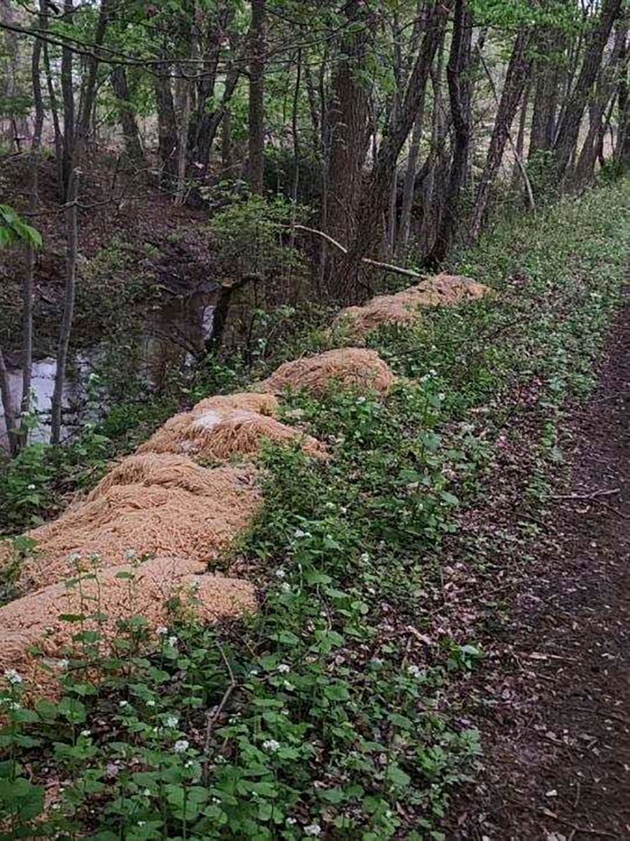 Dieses Bild zeigt den Abschnitt des Flusses in Old Bridge in New Jersey, an dem hunderte Kilo Pasta abgeladen wurden.