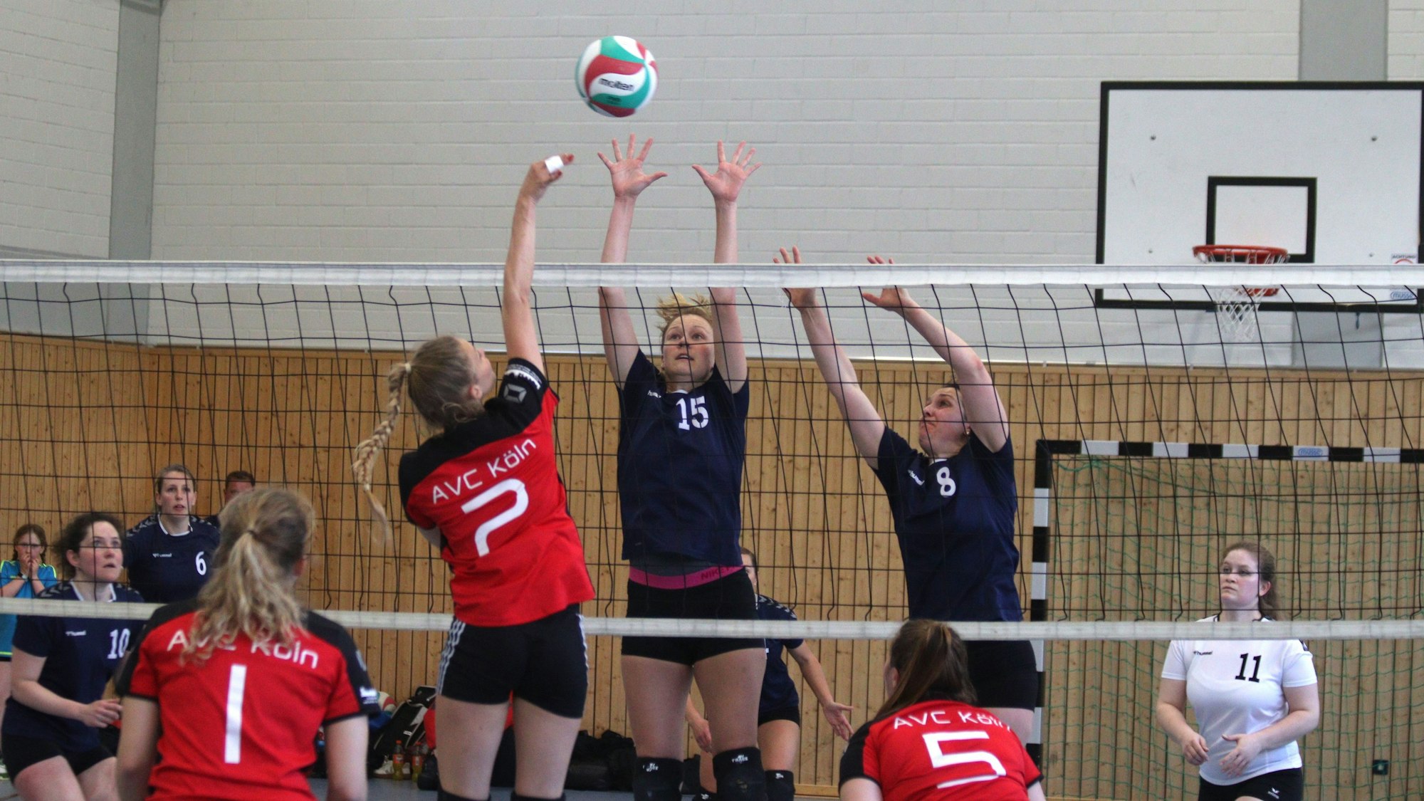 Wehrten sich mit vereinten Kräften: Die Spielerinnen des AVC Köln waren aber zu stark für den TV Stotzheim.