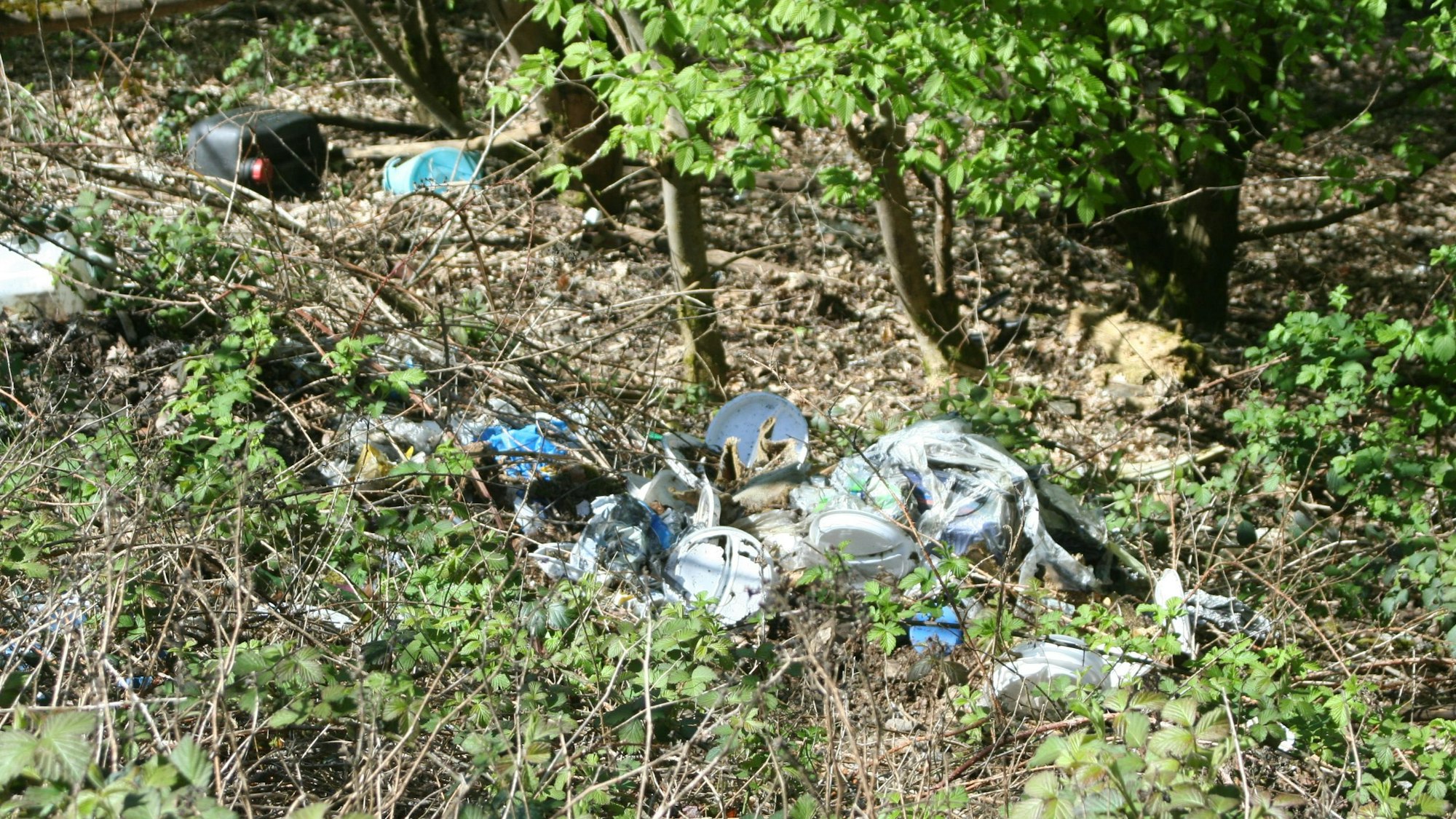 Eine wilde Müllkippe in Eitorf.