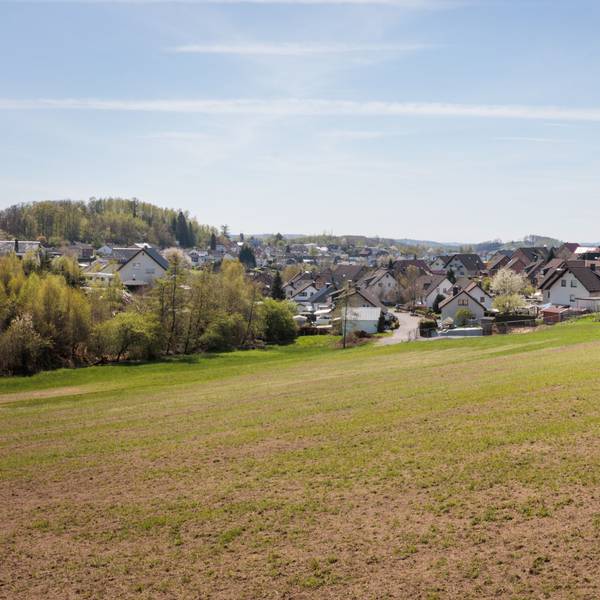 Zu sehen ist ein Wiese, im Hintergrund eine Siedlung.