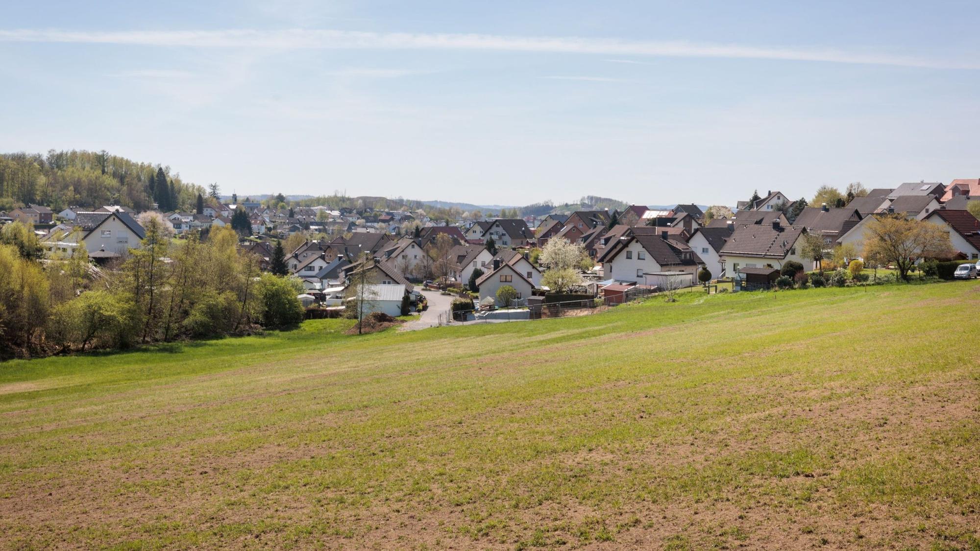 Zu sehen ist ein Wiese, im Hintergrund eine Siedlung.