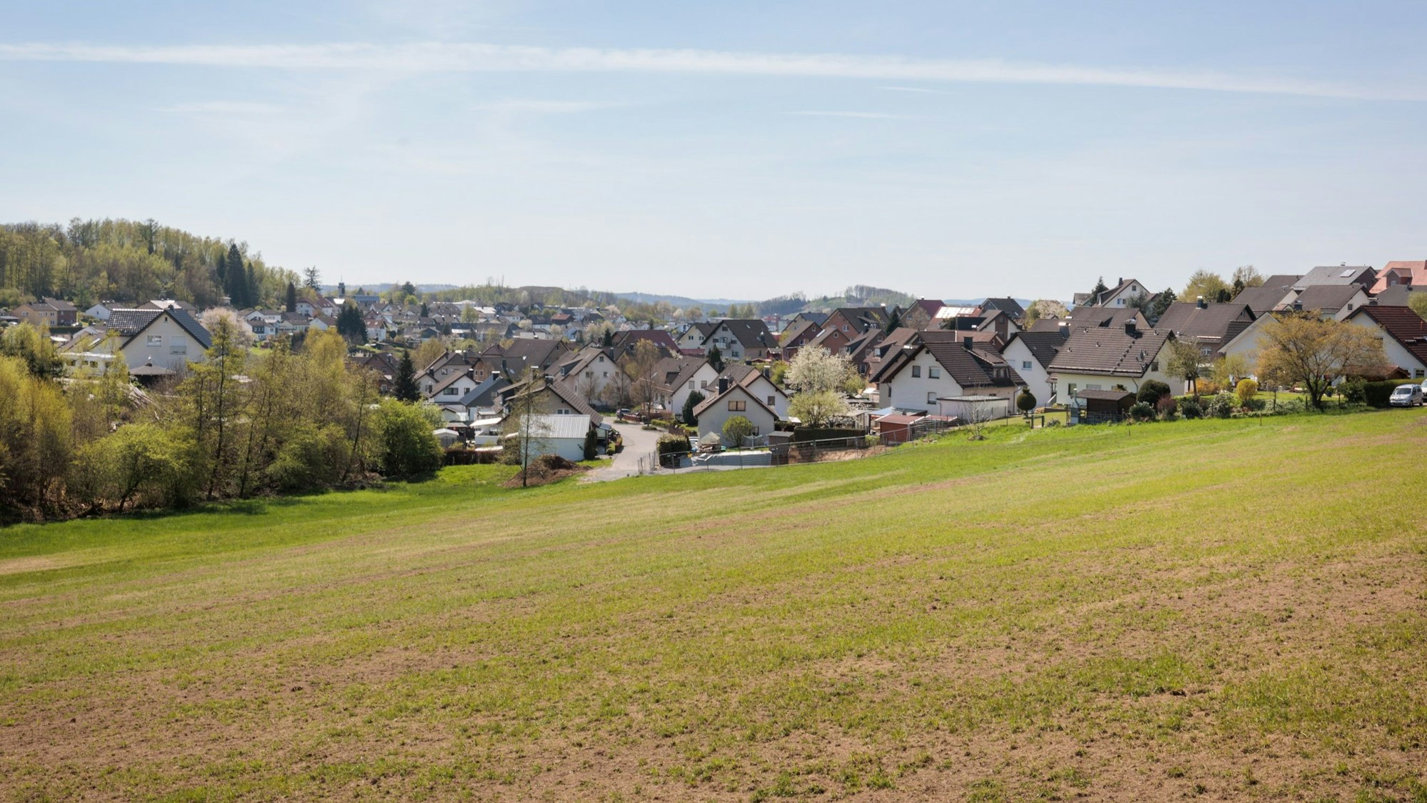 Zu sehen ist ein Wiese, im Hintergrund eine Siedlung.