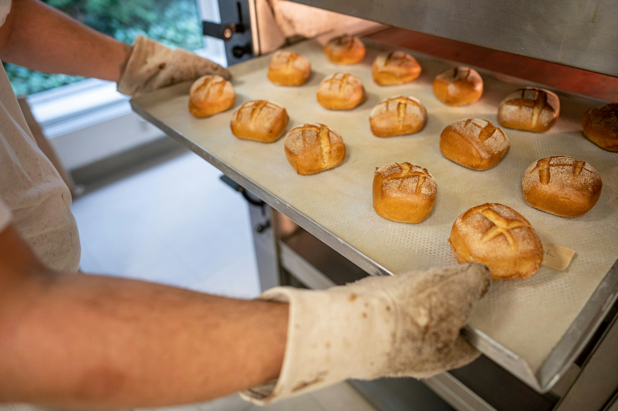 Zwei Hände ziehen ein Blech mit Brötchen aus einem Ofen.
