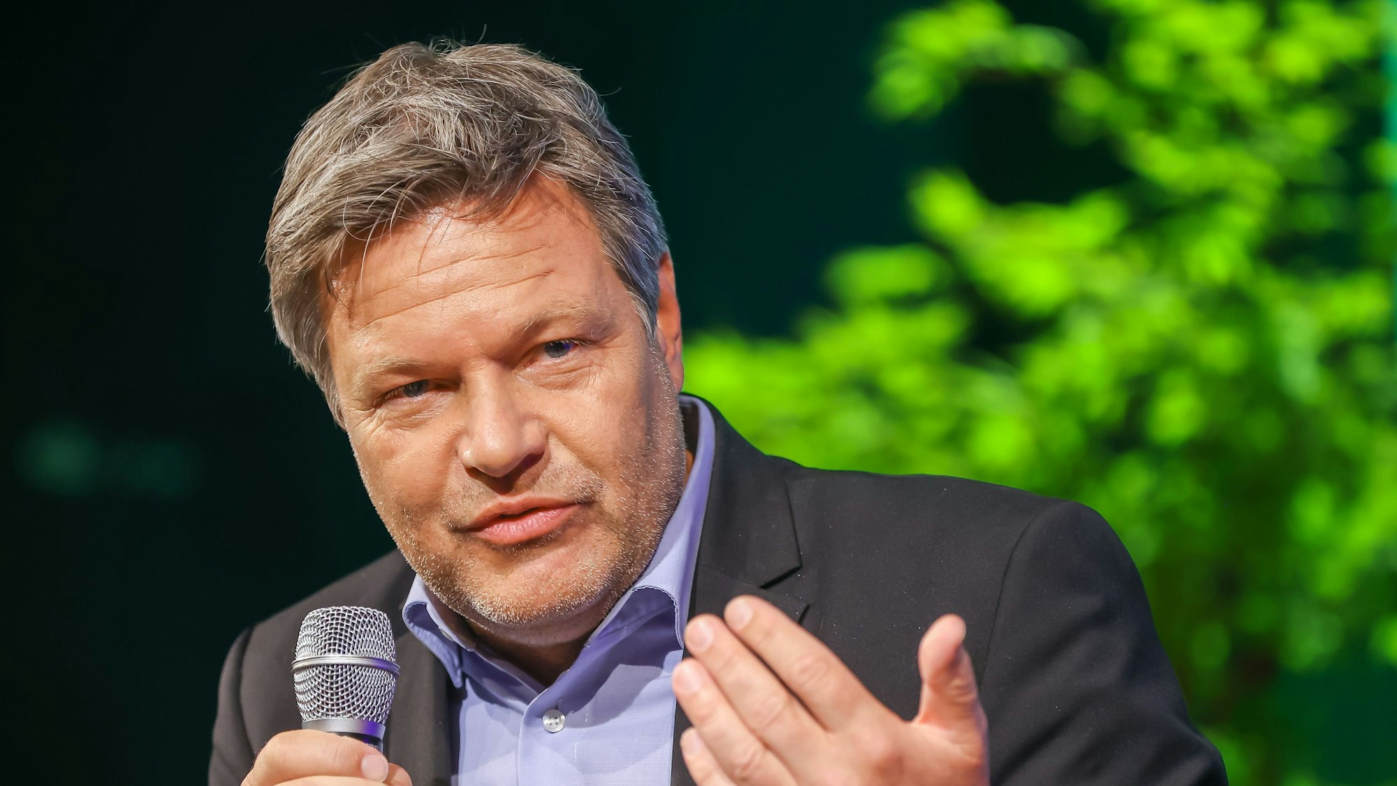 Bundeswirtschaftsminister Robert Habeck