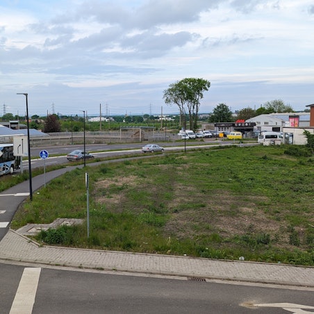 Ein Bus fährt über eine Straße an einer grünen Brachfläche vorbei.