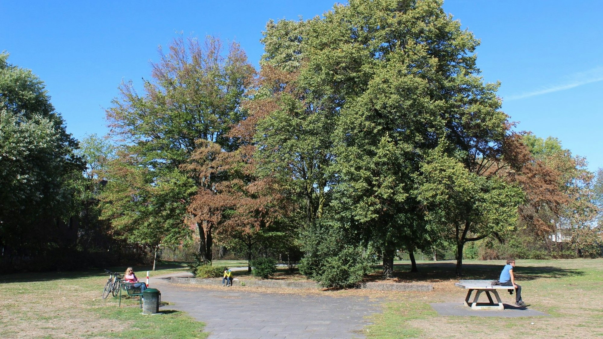 Johannes-Giesberts-Park im Kölner Norden