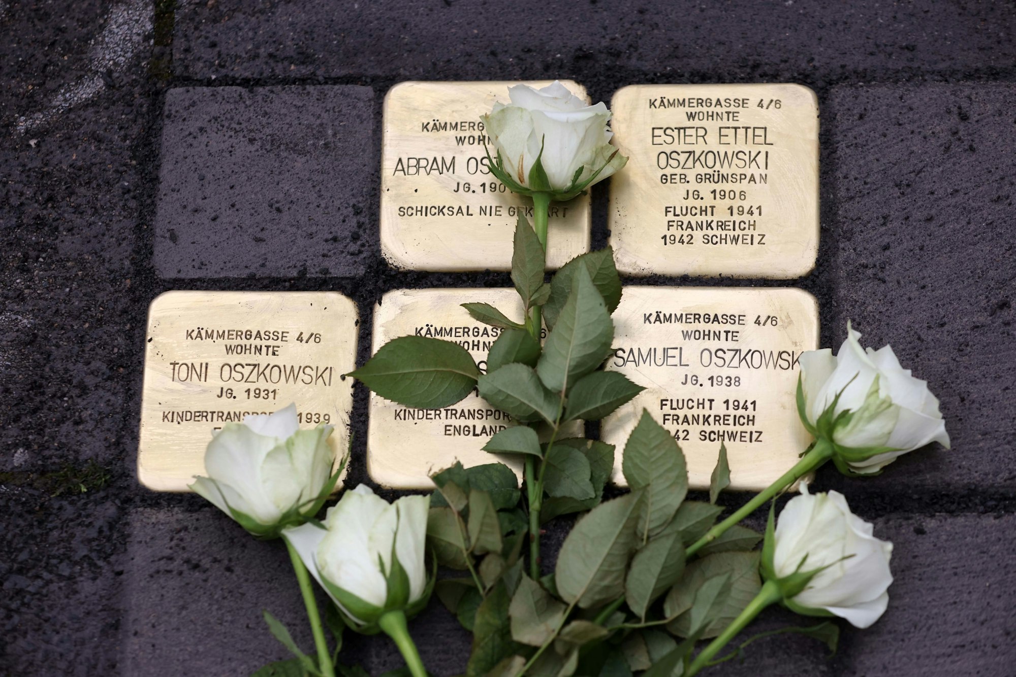 Weiße Rosen liegen auf den Stolpersteinen, die an die Bewohner der Kämmergasse erinnern.