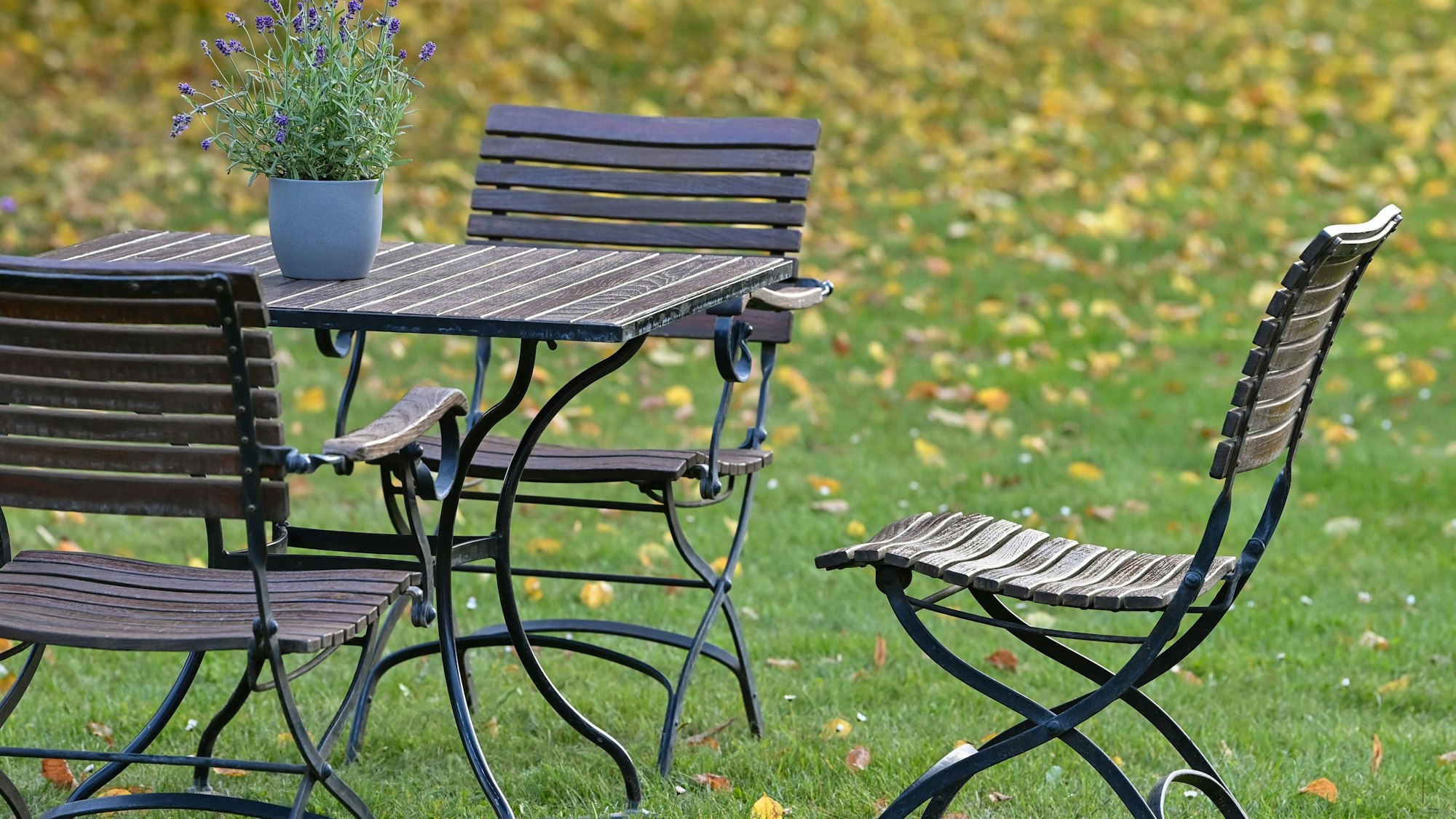 Gartenmöbel stehen auf einer Wiese mit bunten Herbstlaub.