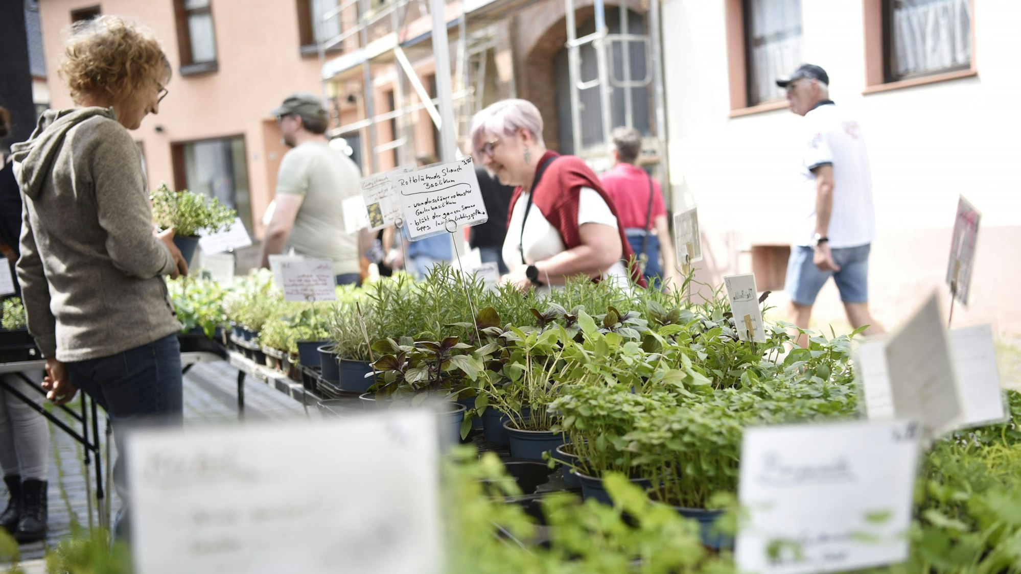 Eine Kundin begutachtet das Angebot am Kräuterstand von Stefanie Oeser.