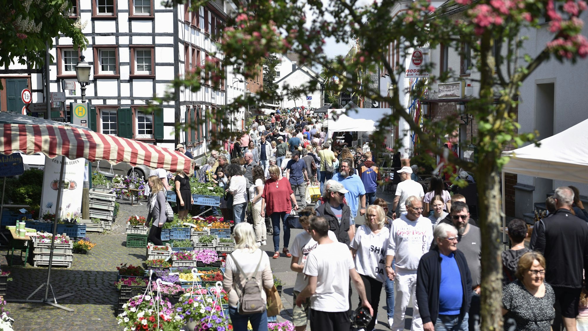 In den historischen Gassen von Kommern herrscht dichtes Gedränge an den Ständen.