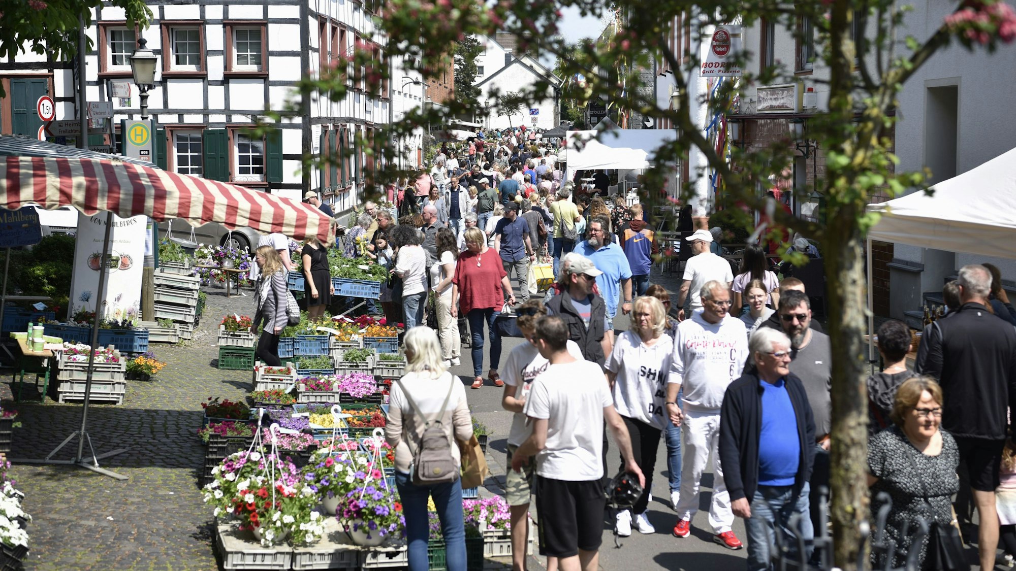 Menschen schlendern über einen Markt mit Blumen.