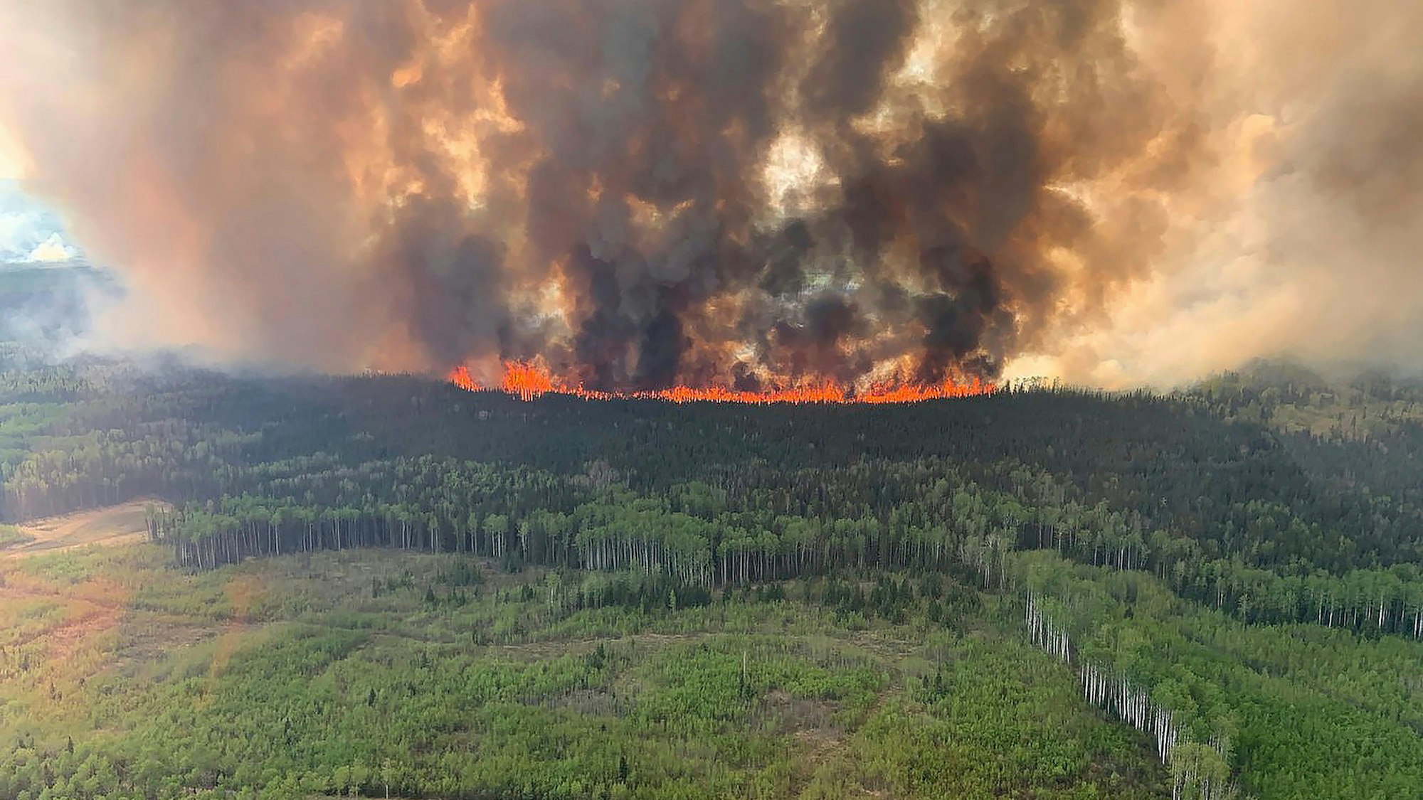 Der Bald Mountain Waldbrand lodert im Grande Prairie Forest.