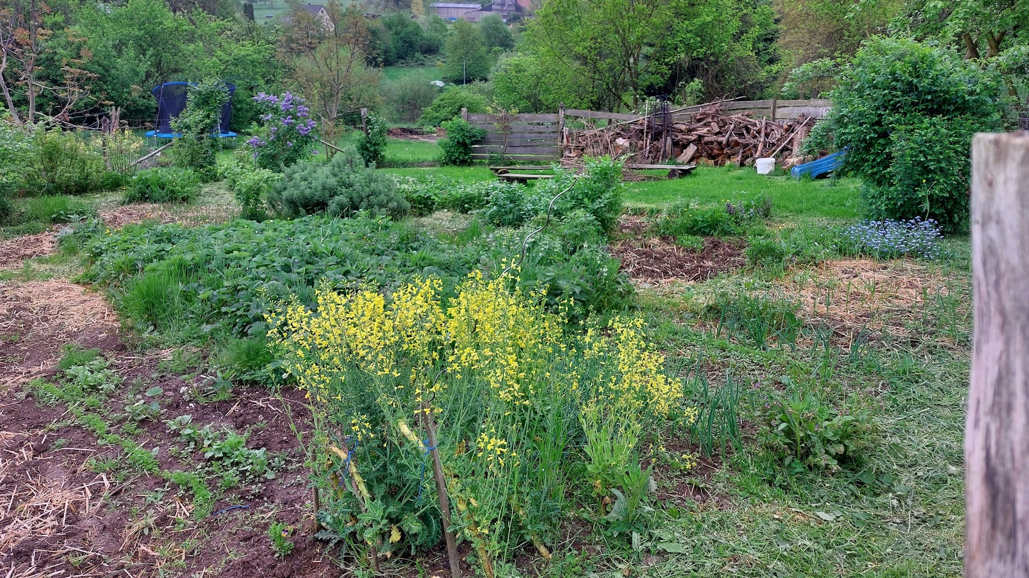 Garten der Eheleute Braun