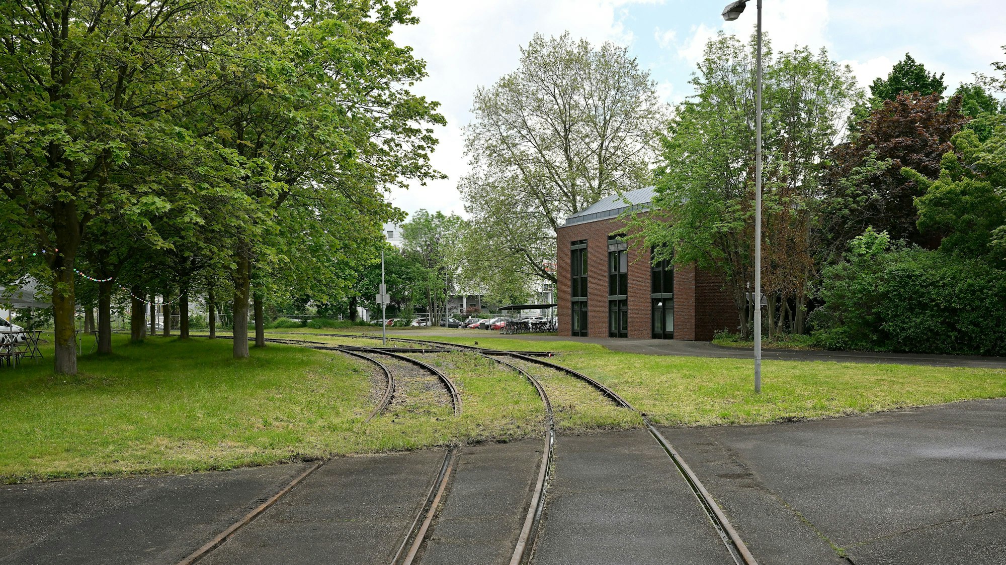 Auf dem Zanders-Gelände stehen Bäume an Gleisen.