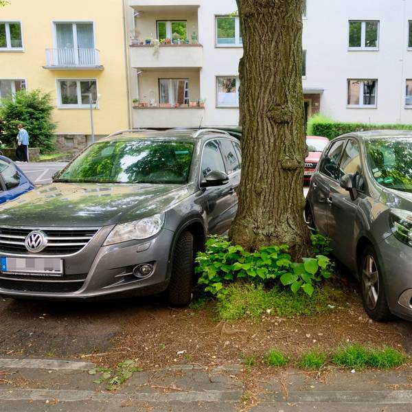 Zwei Autos parken sehr nahe links und rechts von einem Baum.