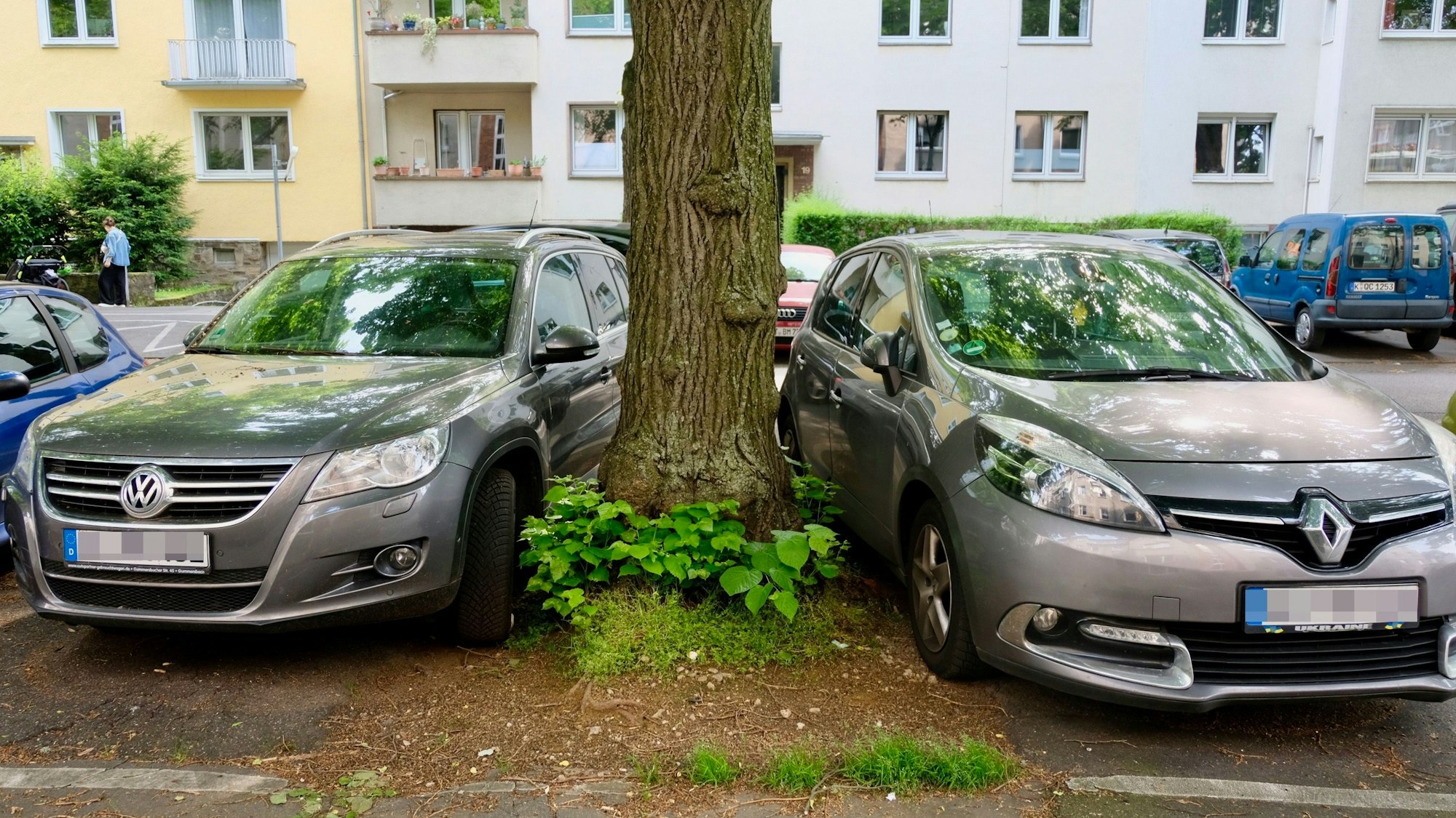 Zwei Autos parken sehr nahe links und rechts von einem Baum.