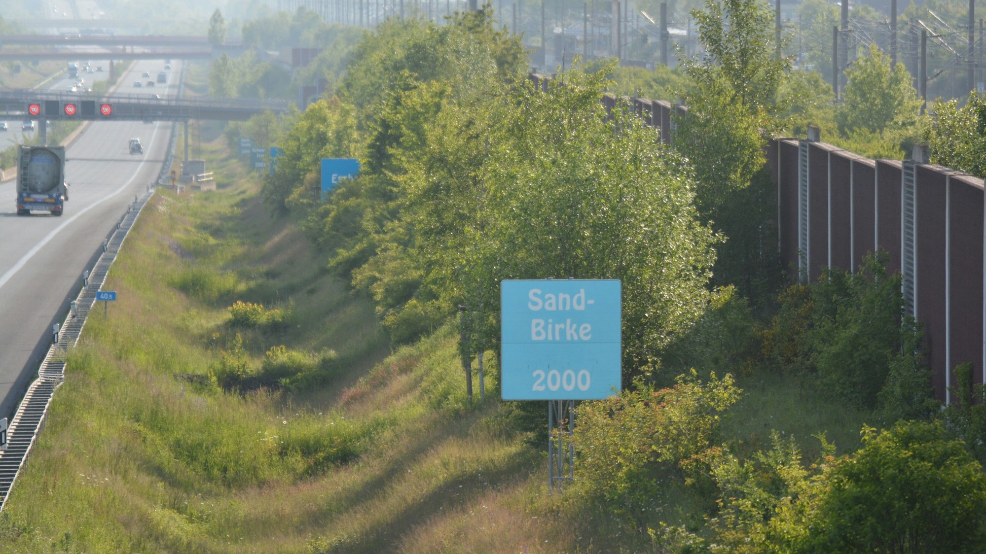 Das Foto zeigt die A 4 mit der Allee „Baum des Jahres“. Einem blauen Schild ist zu entnehmen, dass die Sandbirke 2000 „Baum des Jahres “gewesen ist.
