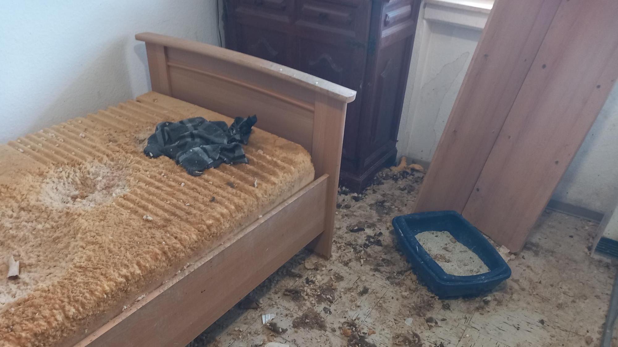 Das Foto zeigt das verdreckte Zimmer, in dem die Hunde eingesperrt waren.