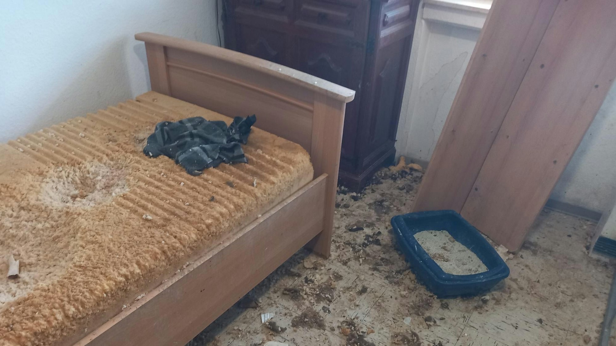 Das Foto zeigt das verdreckte Zimmer, in dem die Hunde eingesperrt waren.