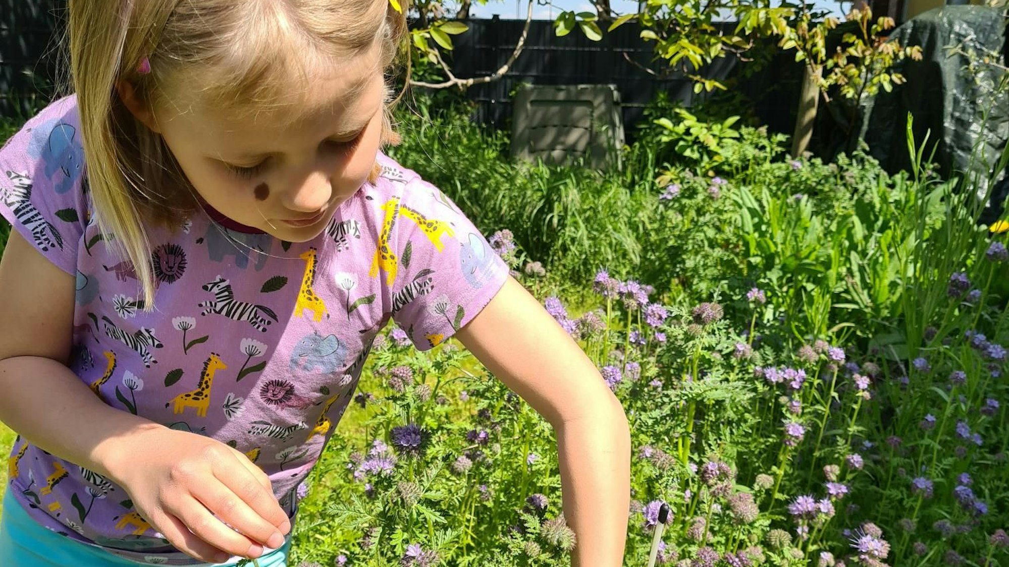 Anna Hoffmann aus Flamersheim tritt in der WDR-Sendung Frag doch mal die Maus auf.