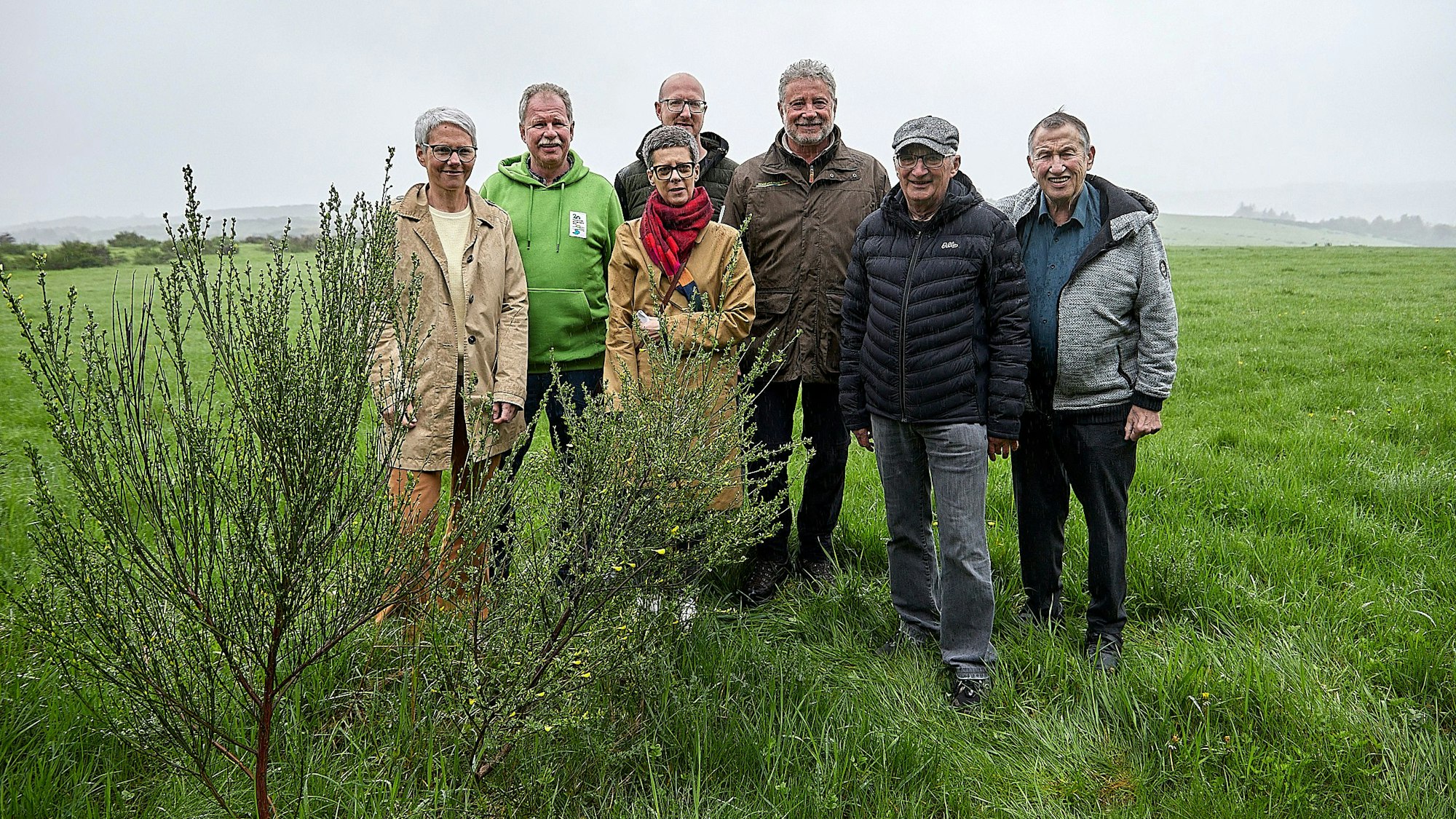 Auch wenn sich die Blüte des Ginsters erst zaghaft zeigt, wird sie am Wochenende mit dem Ginsterblütenfest gefeiert.