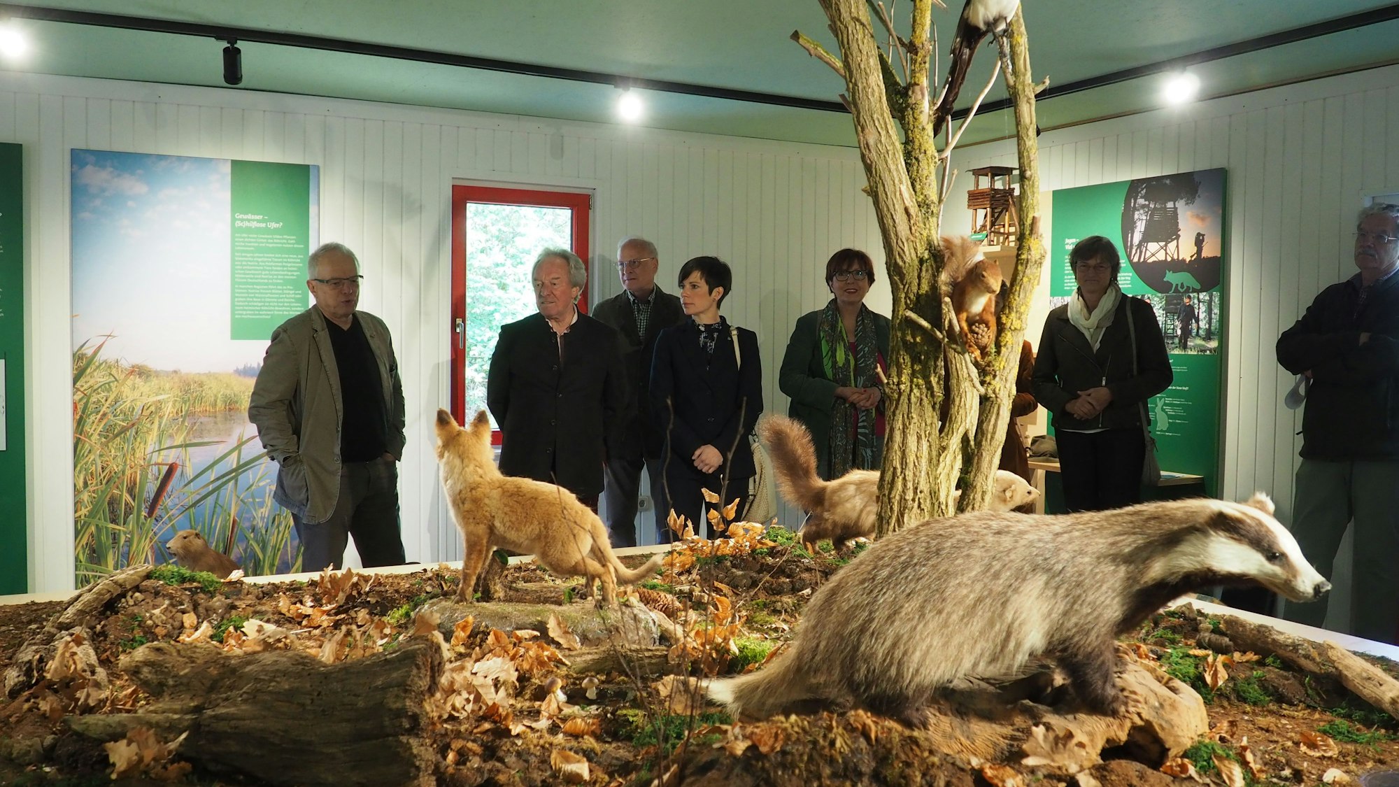 Es ist ein Teil der erneuerten Waldschule zu sehen.